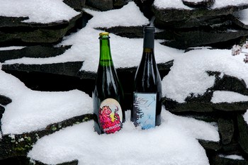 FULL CASE 2020 Mamacita & 2016 Momtazi Pinot Noir