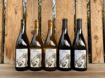Chardonnay Vertical
