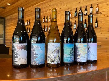 Cellar Worthy six-pack