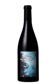 2019 Momtazi Vineyard Pinot Noir
